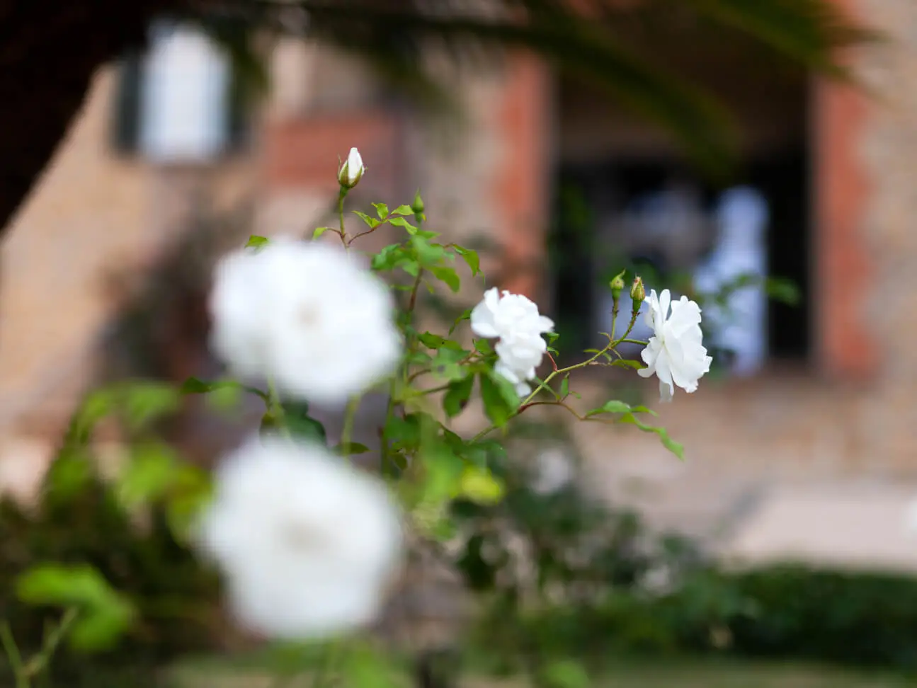 Villa Rappis, foto 29/39